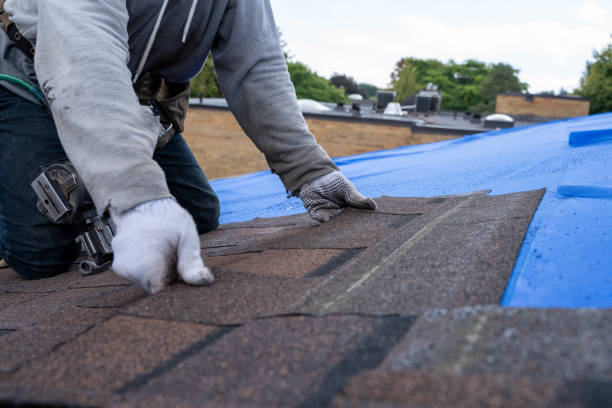 Best Gutter Installation and Roofing  in Byron, IL