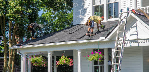 Professional Roofing Contractor in Byron, IL